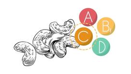 Do Cashews Contain Vitamins? How Much Vitamins Are in Cashews?