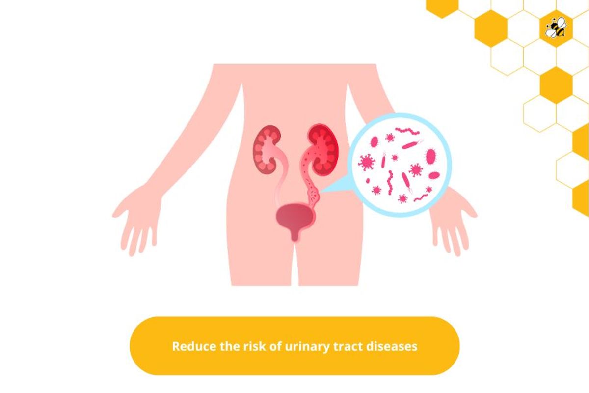 Reduce the risk of urinary tract diseases