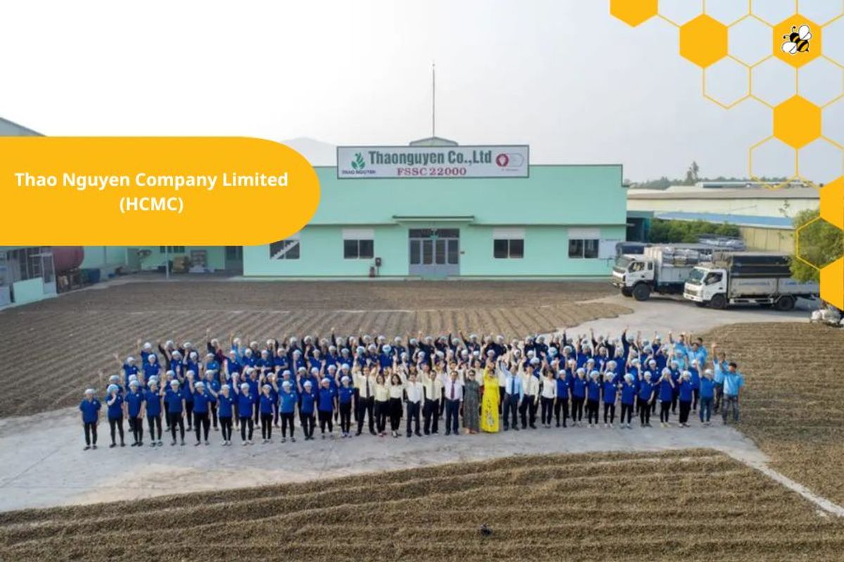 Thao Nguyen Company Limited (HCMC)