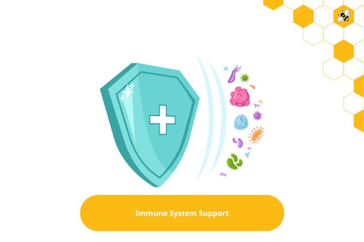 Immune System Support