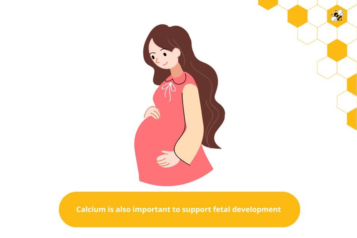 Calcium is also important to support fetal development