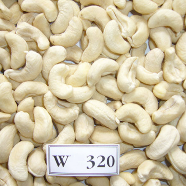 Raw Cashews – W320