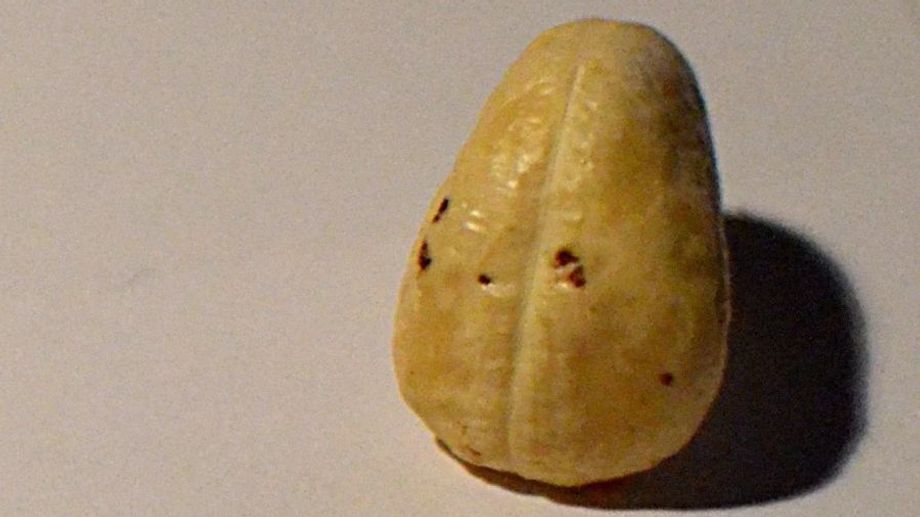 What are black spots on cashews? Does it affect the quality of cashews and the health of the consumer?