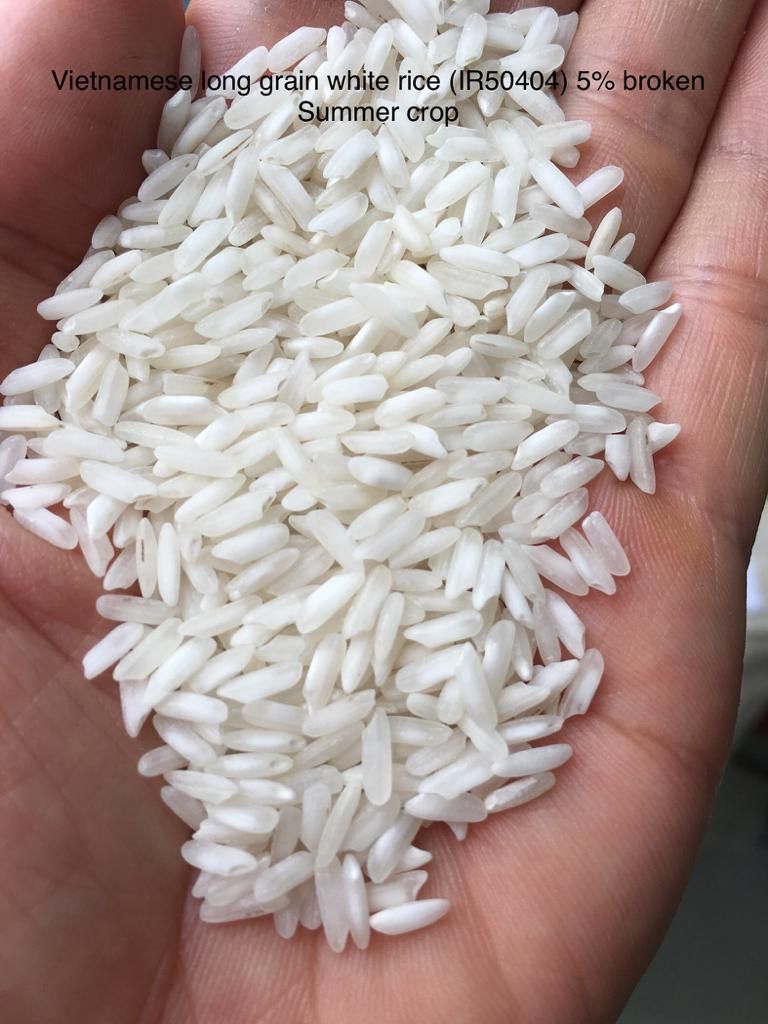 Vietnam Long grain White rice 504