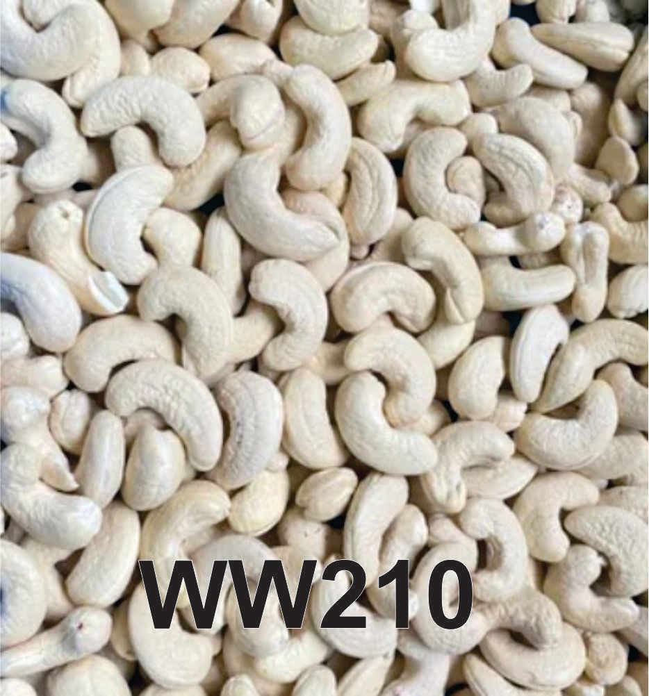 Raw Cashew Nuts - WW210 (Large Size)