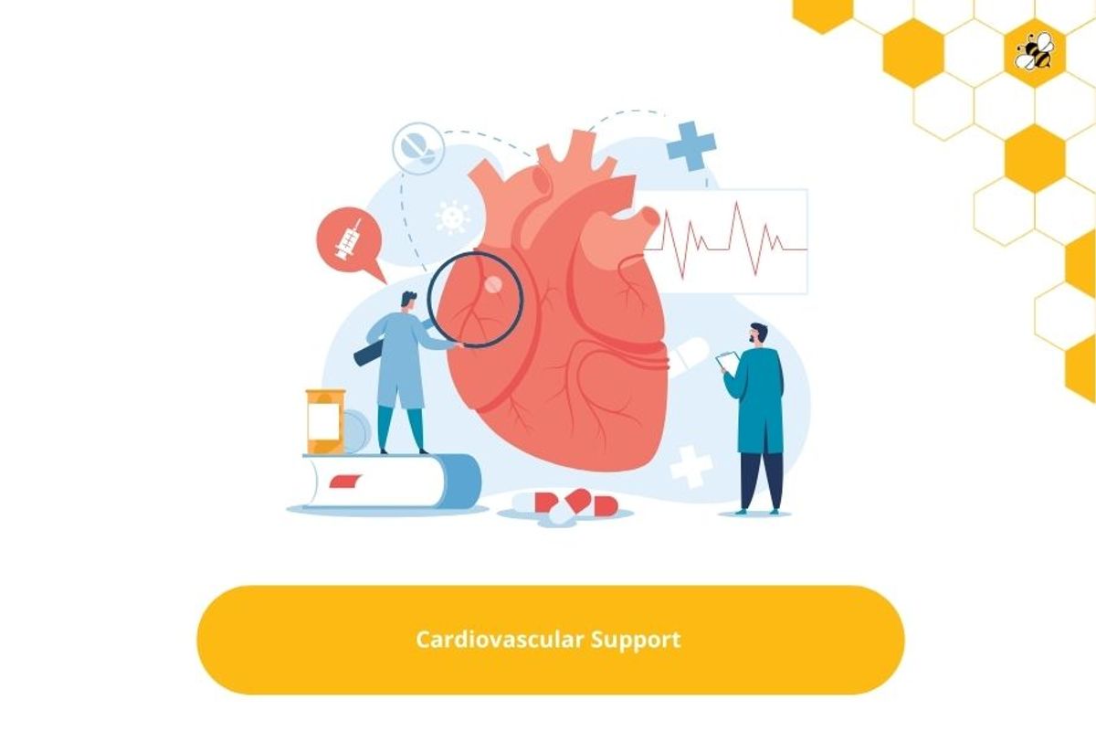 Cardiovascular Support