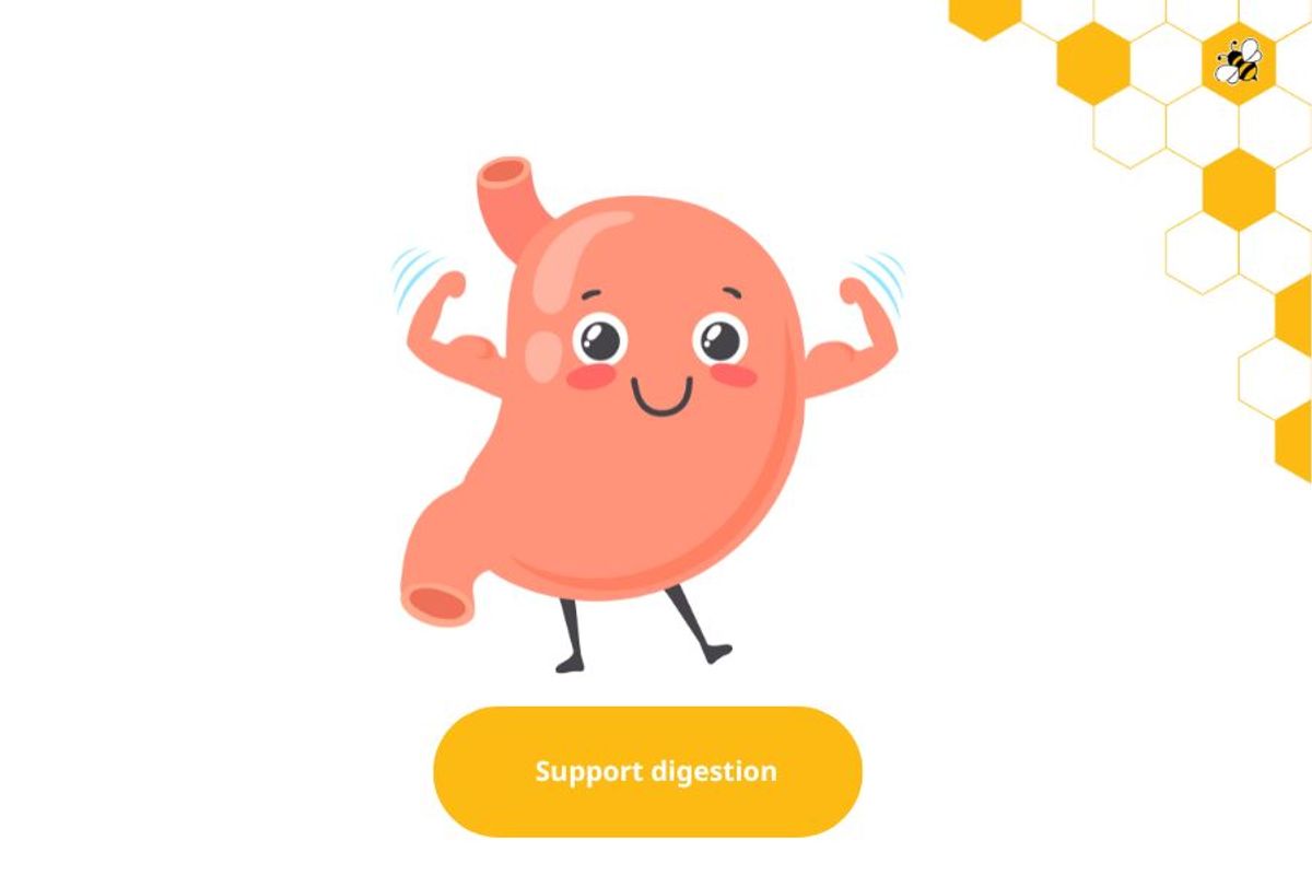 Support digestion