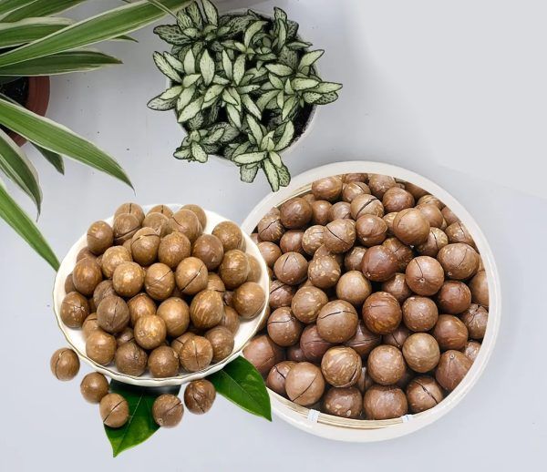 Macadamia nuts