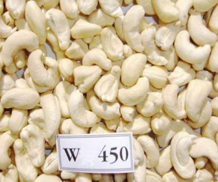 Cashew kernels WW450