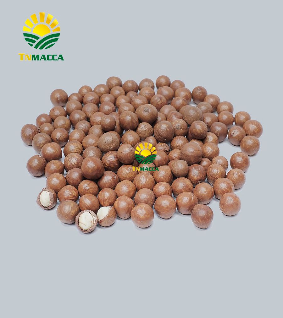 Uncracked dried macadamia nuts