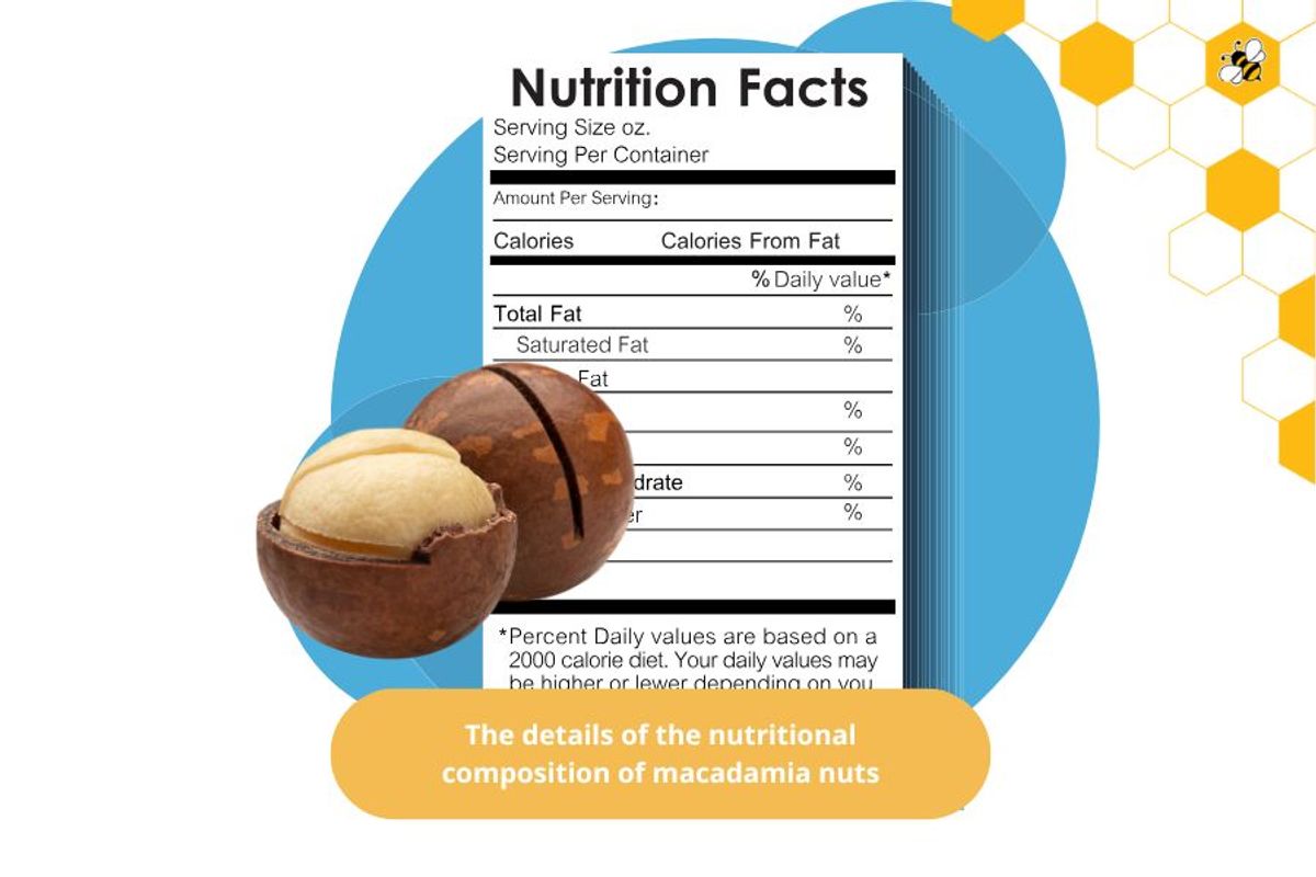 The details of the nutritional composition of macadamia nuts