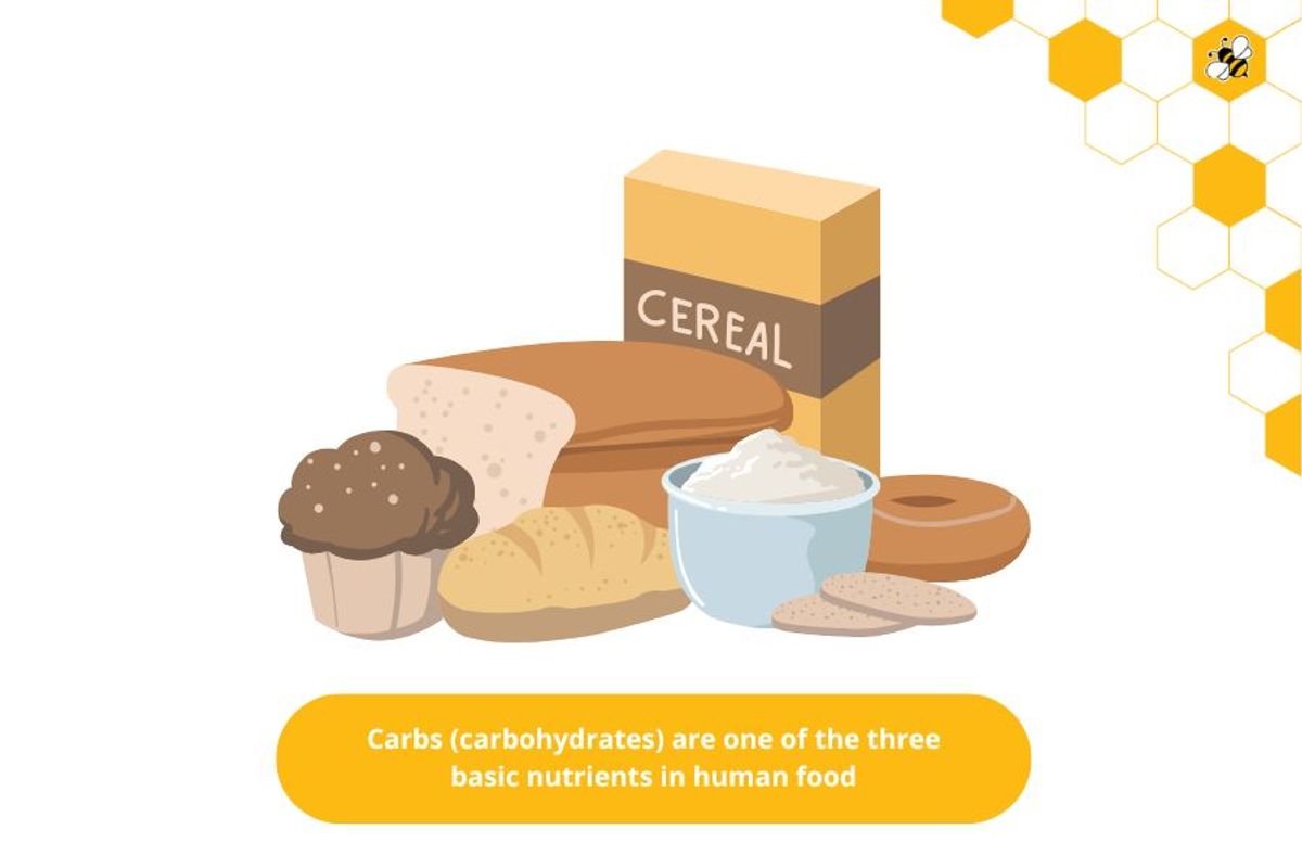 Carbs (carbohydrates) are one of the three basic nutrients in human food