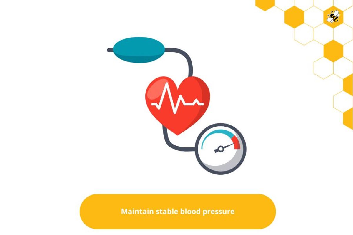 Maintain stable blood pressure