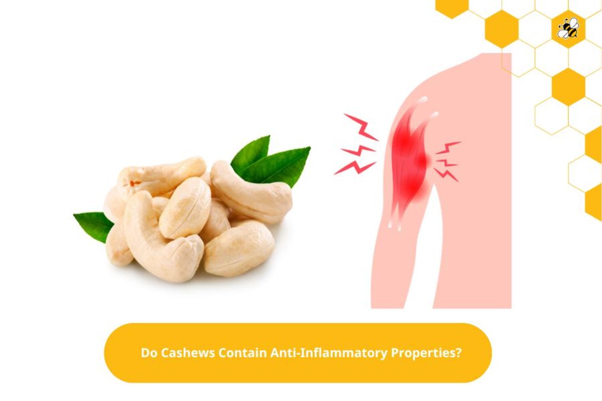 Do Cashews Contain Anti-Inflammatory Properties?