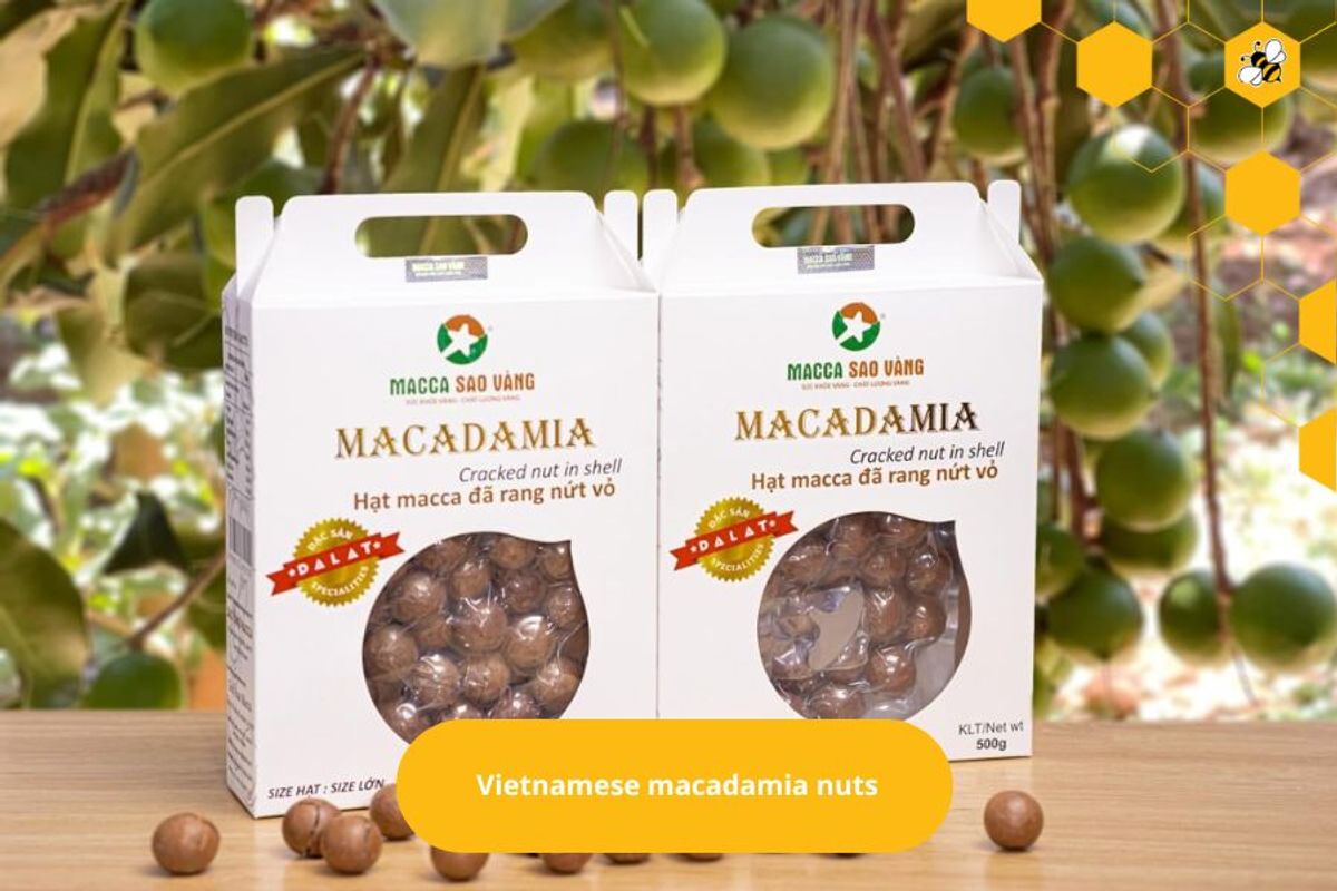 Vietnamese macadamia nuts