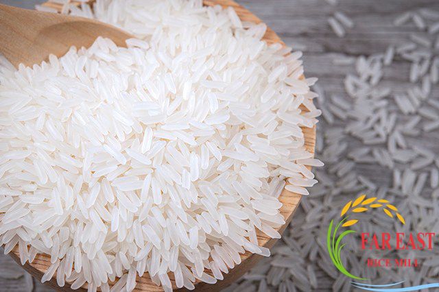 Cambodian Jasmine Rice