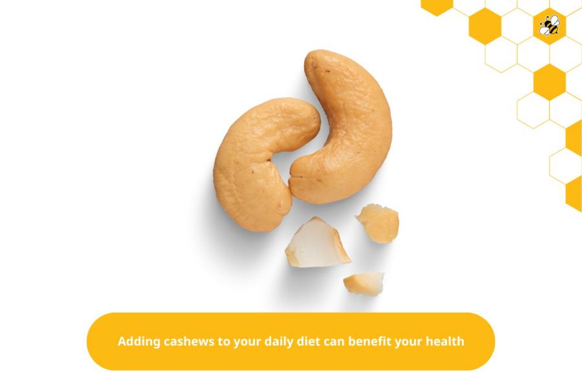 Adding cashews to your daily diet can benefit your health