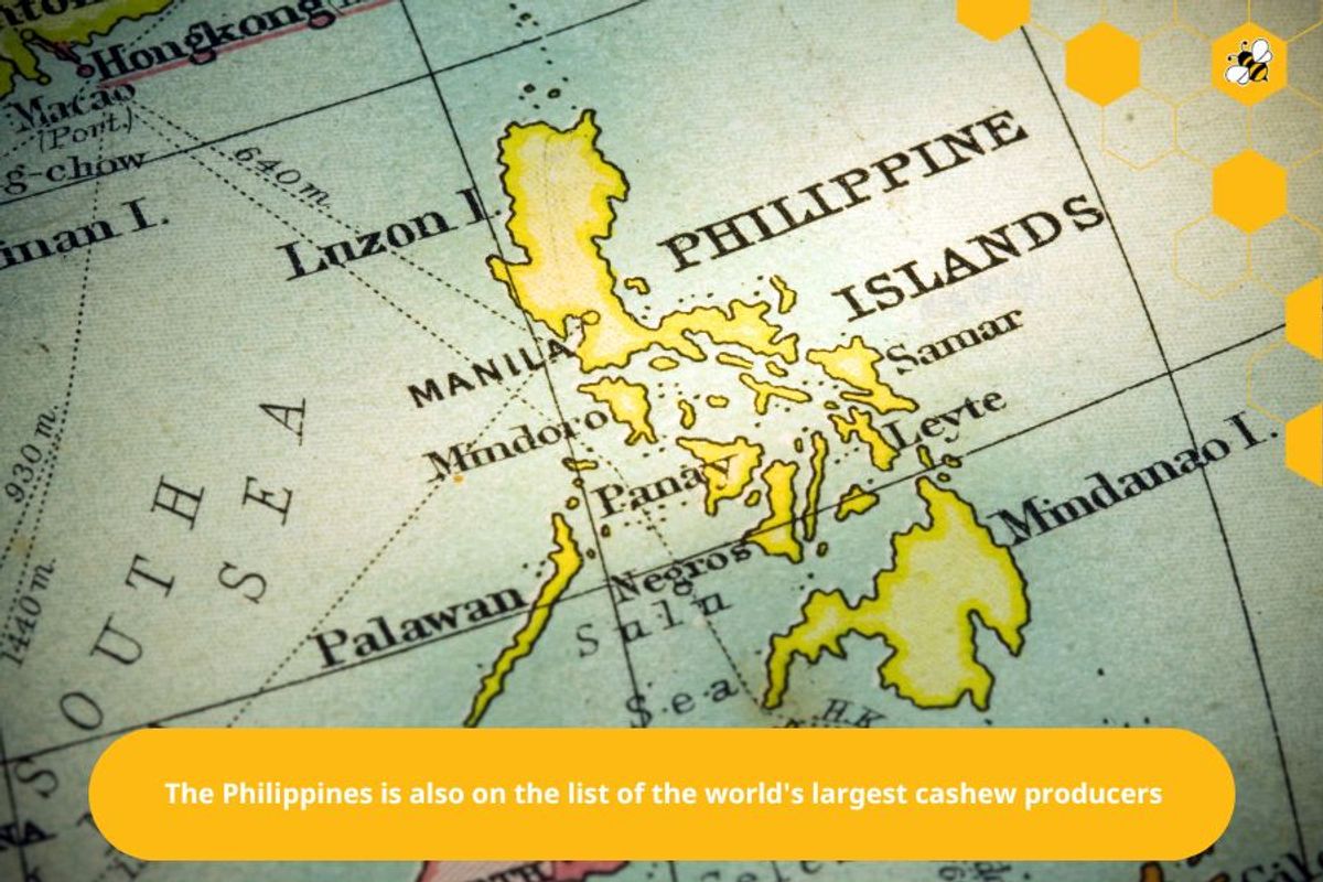 The Philippines is also on the list of the world's largest cashew producers