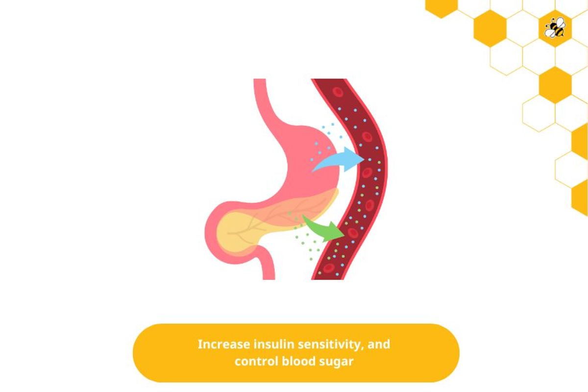 Increase insulin sensitivity, and control blood sugar