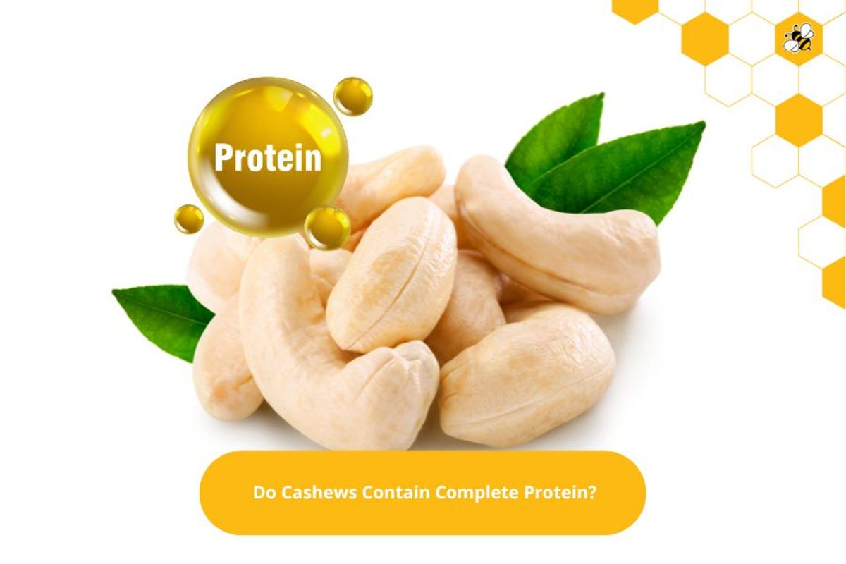 Do Cashews Contain Complete Protein?