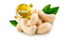 Do cashews contain complete protein? How much protein is in cashews?
