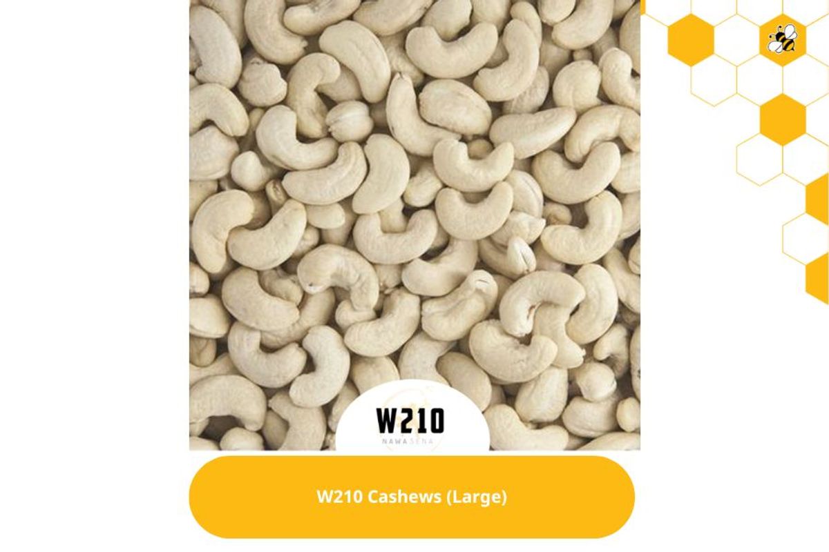 W210 Cashews (Large)