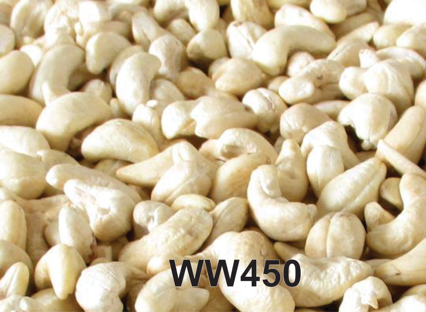 Raw Cashew Nuts - WW450 (Small Size)