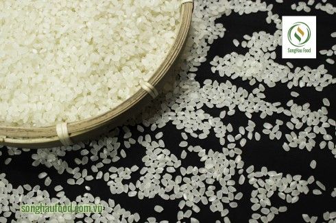 Vietnam Japonica Rice