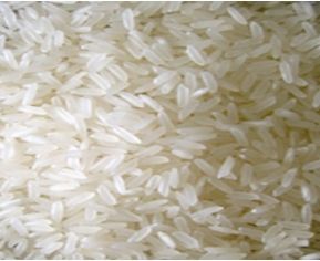 Fragrant Rice OM 5451