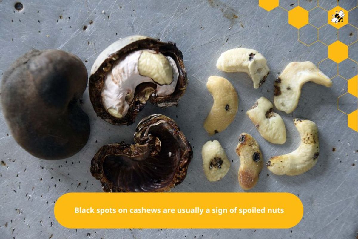 Black spots on cashews are usually a sign of spoiled nuts