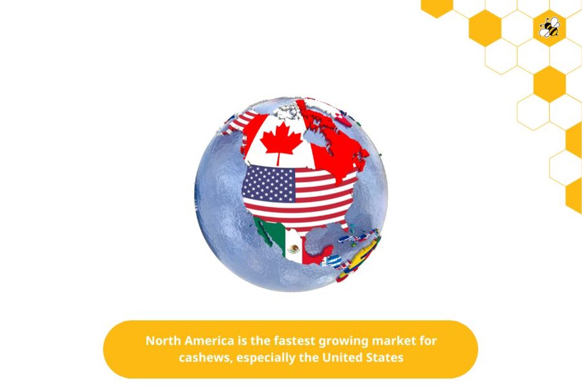 North America is the fastest growing market for cashews, especially the United States