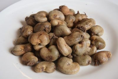 Raw Cashew Nut