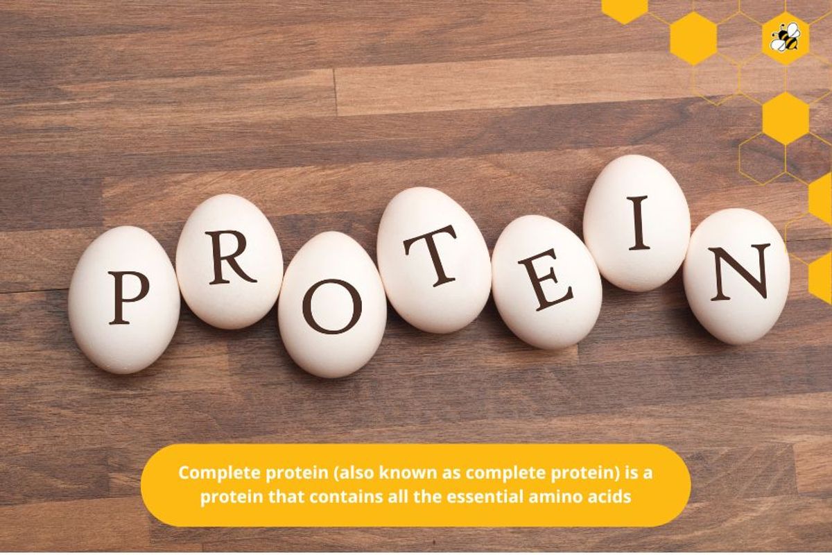 Complete protein (also known as complete protein) is a protein that contains all the essential amino acids