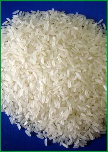 Rice OM6976