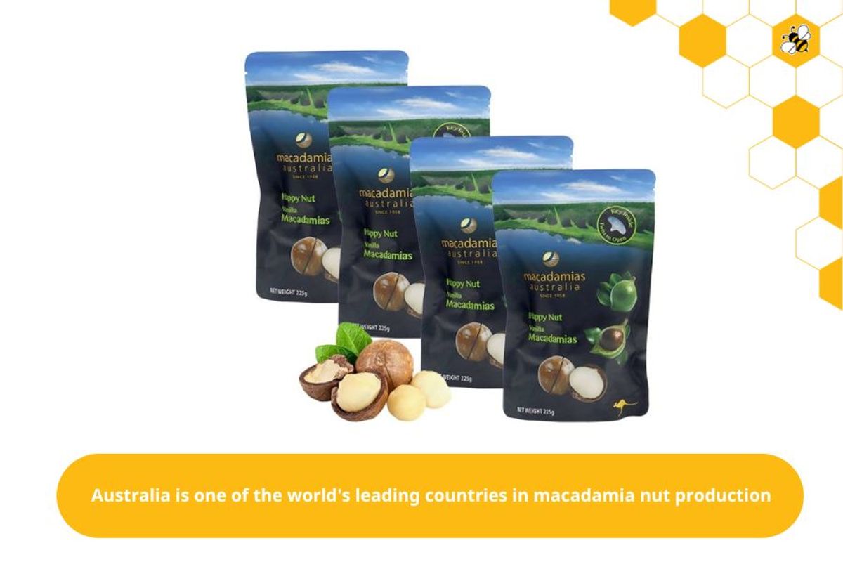 Australia is one of the world's leading countries in macadamia nut production