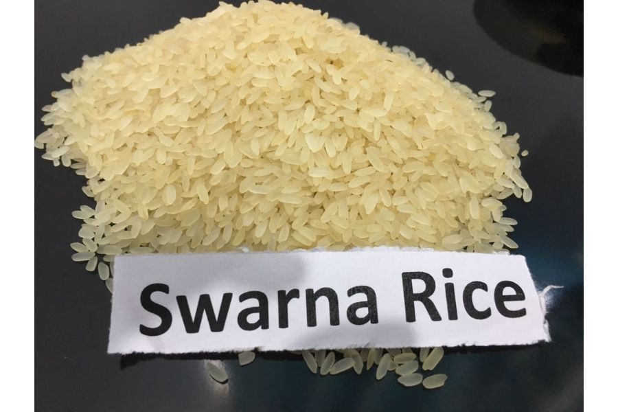 Swarna Rice