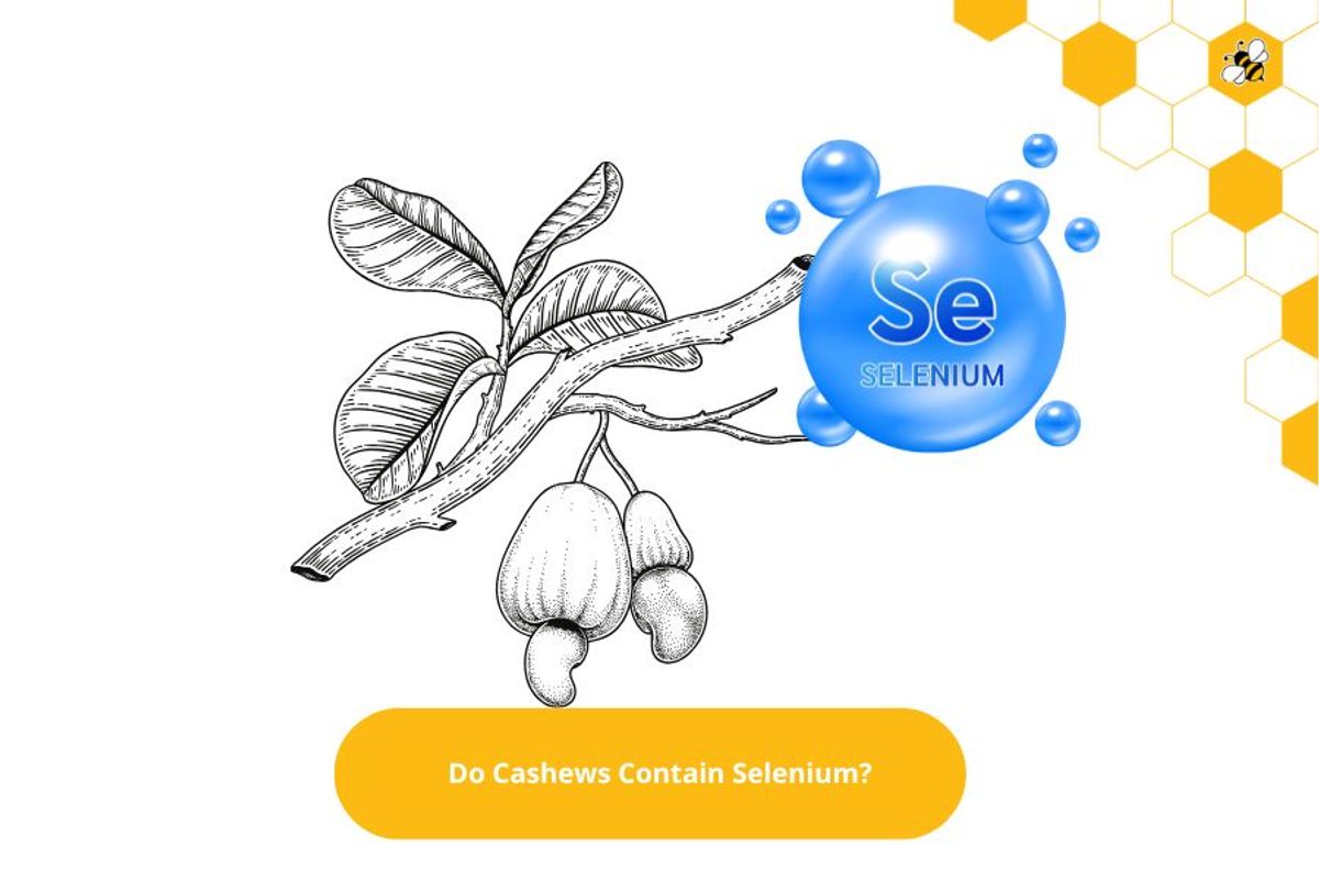 Do Cashews Contain Selenium?