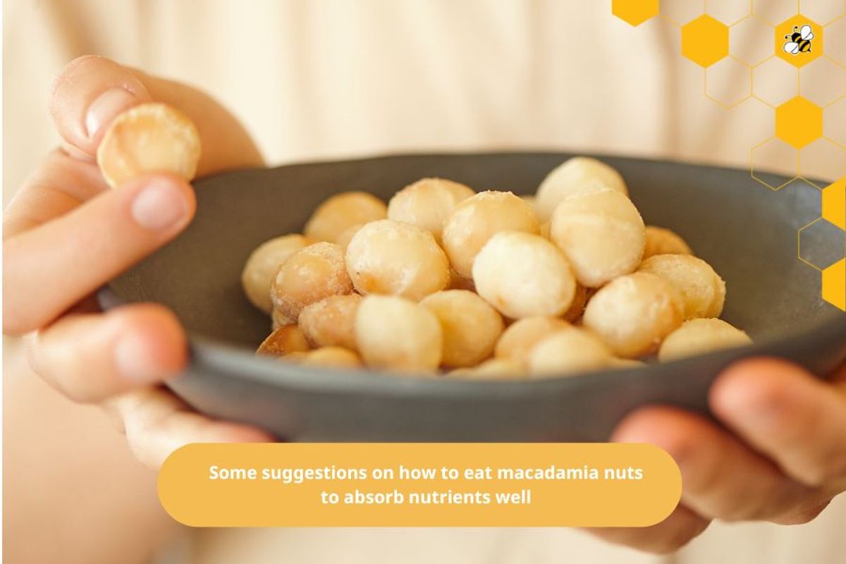 Some suggestions on how to eat macadamia nuts to absorb nutrients well