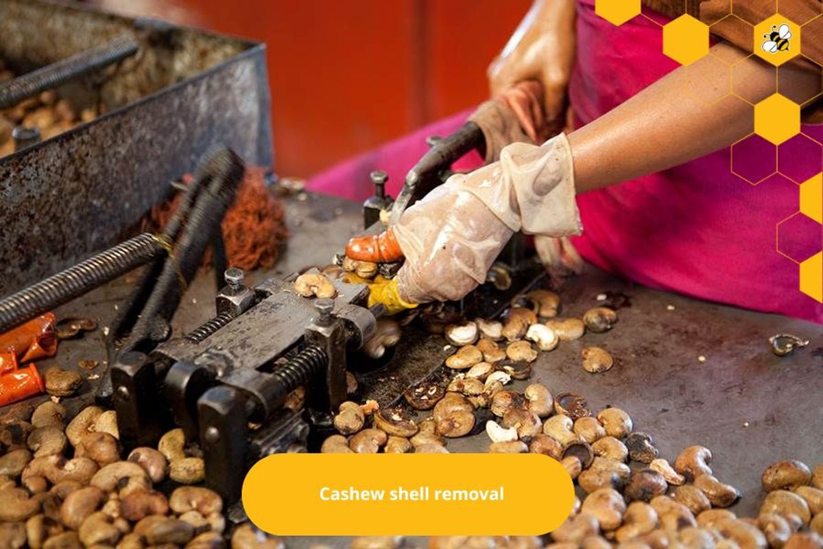 Cashew shell removal