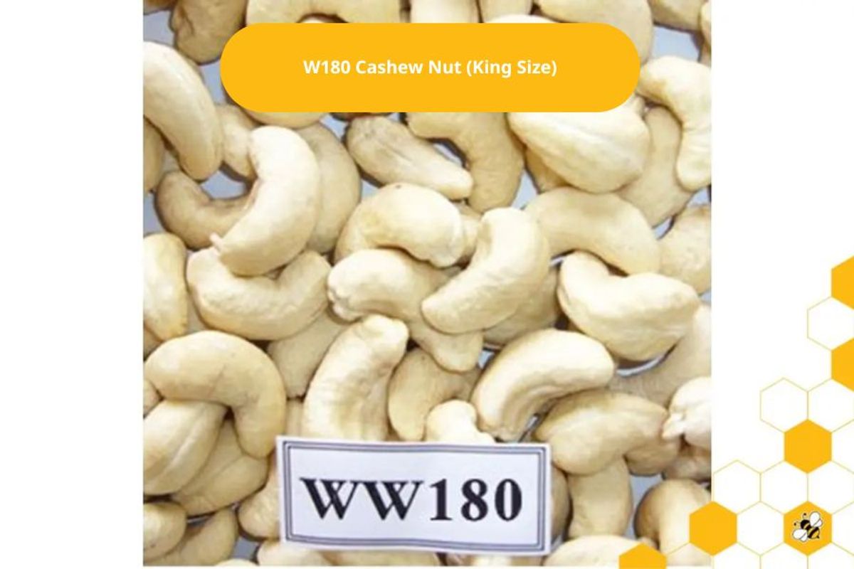 W180 Cashew Nut (King Size)