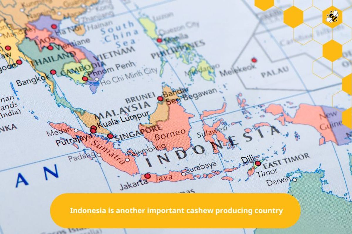 Indonesia is another important cashew producing country