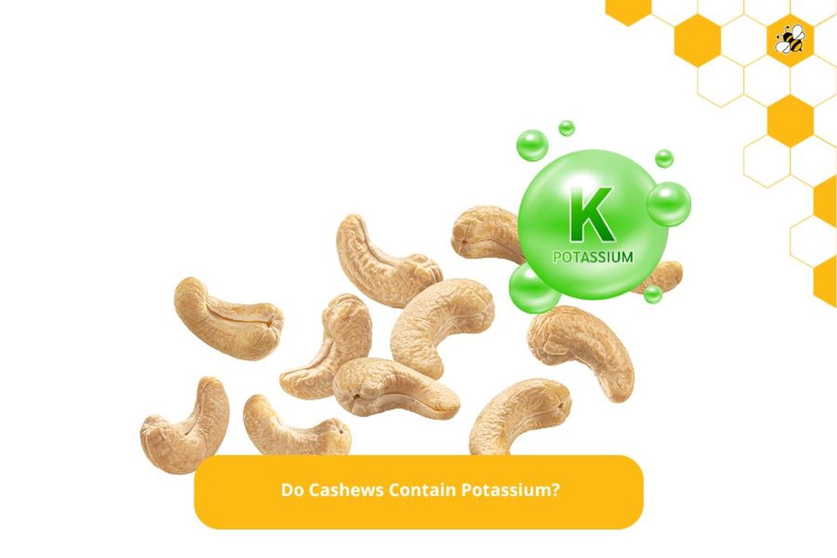 Do Cashews Contain Potassium?