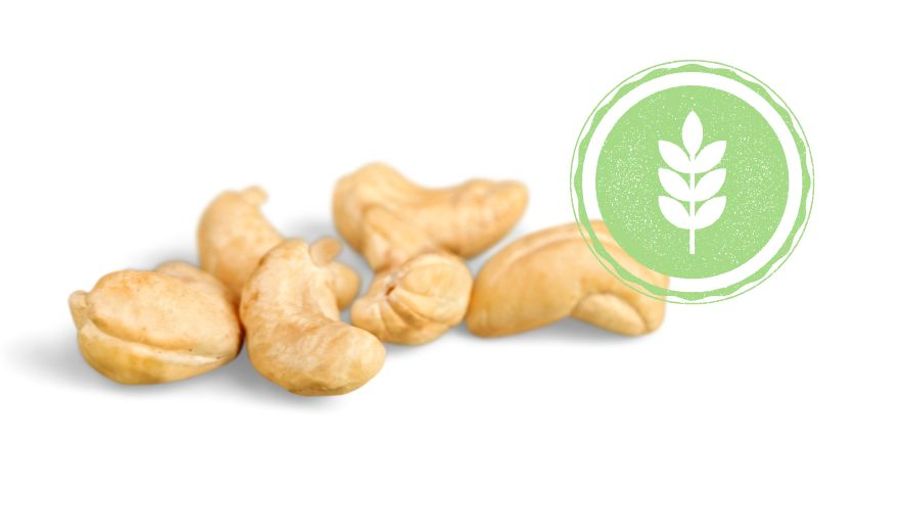 Do Cashews Contain Fiber? How Much Fiber Is In Cashews?