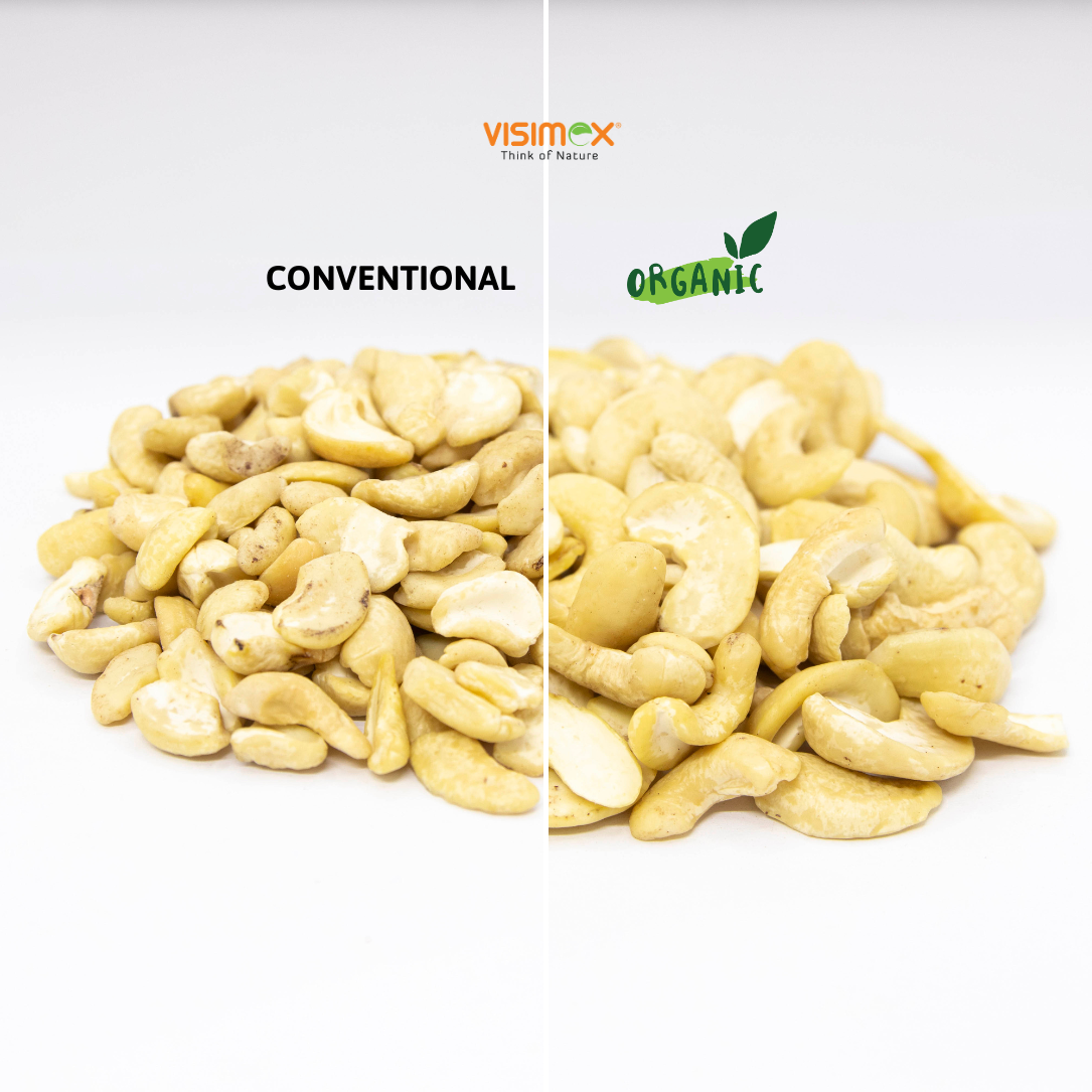 Cashew Nuts LWP