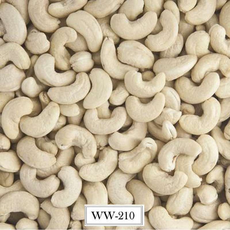 Cashew WW210