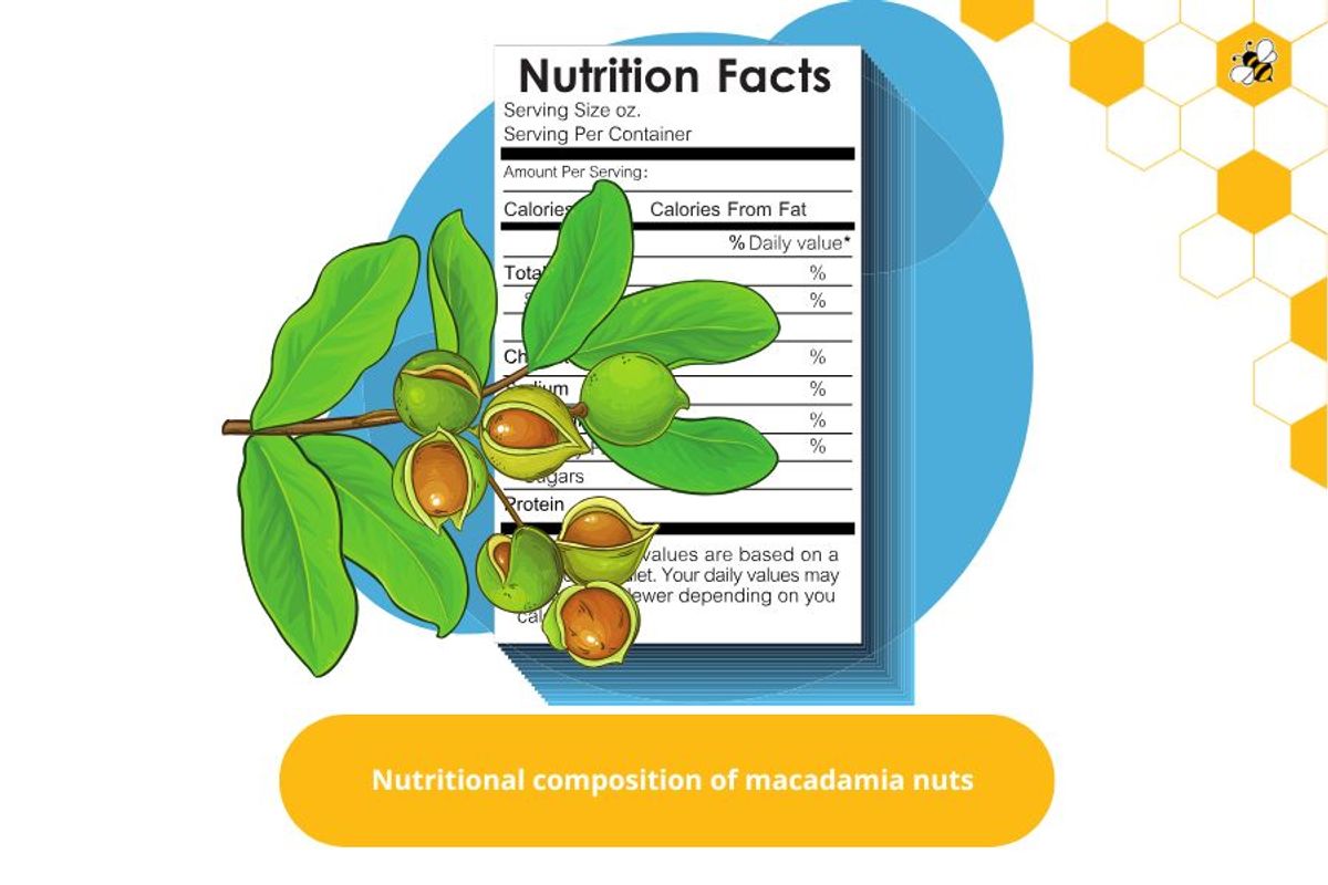 Nutritional composition of macadamia nuts