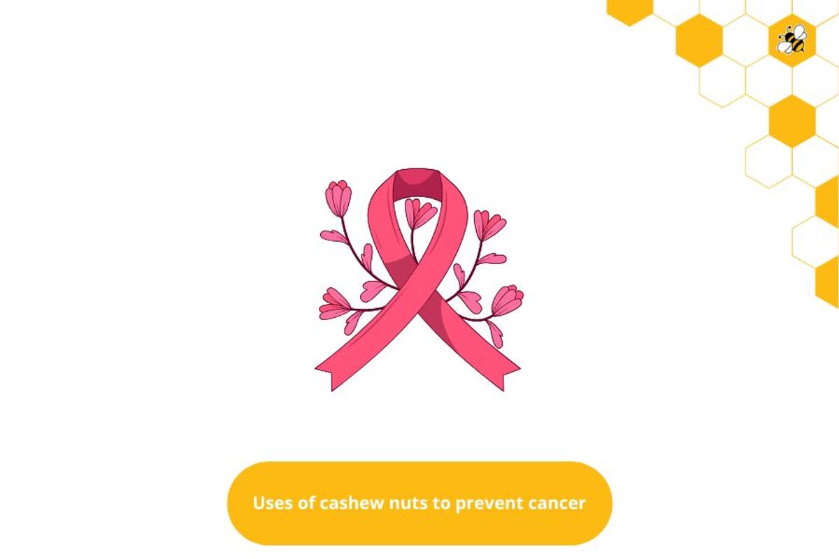 Uses of cashew nuts to prevent cancer