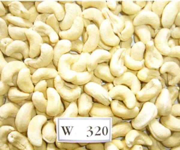 White Cashew Nuts W320