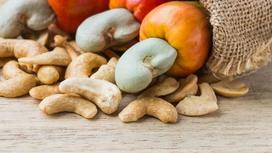 What is cashew? Origin and characteristics of cashew tree
