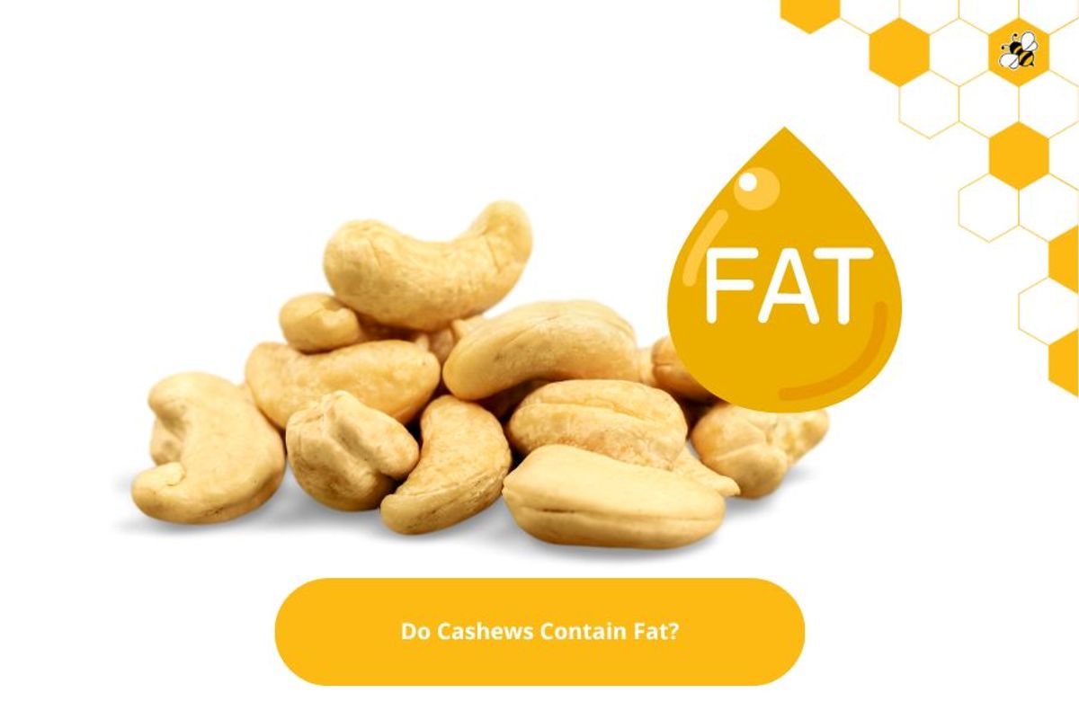 Do Cashews Contain Fat?